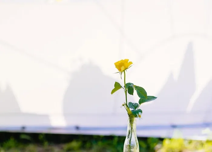 Somn'en Bulle * Najac