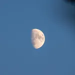 Somn'en Bulle Lyxtält
