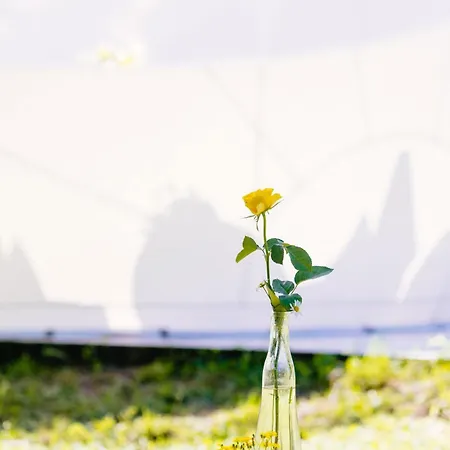 Somn'en Bulle * Najac