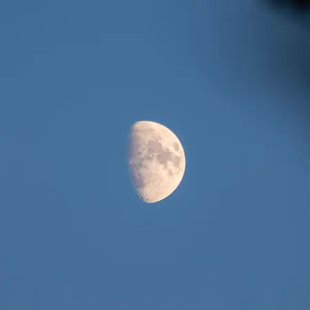 Somn'en Bulle خيمة فخمة