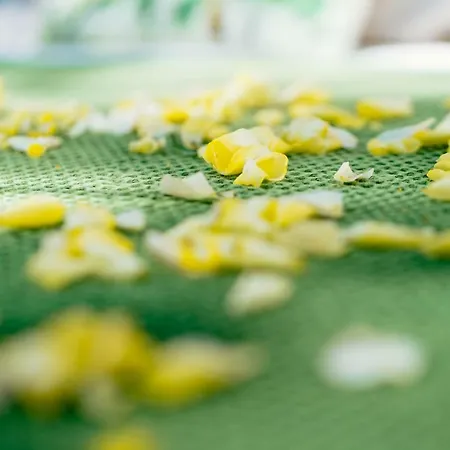 Somn'en Bulle Luksustelt Najac