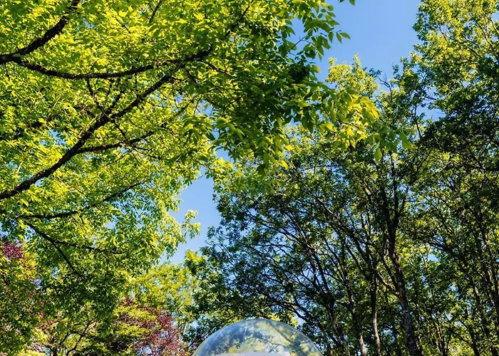 Somn'en Bulle خيمة فخمة ناجاك