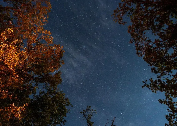 Somn'en Bulle Campismo de Luxo *