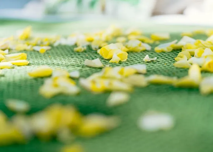 Somn'en Bulle Campismo de Luxo Najac